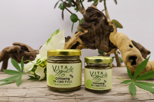 Gedankenkraft | Ginseng & 1% Hanf