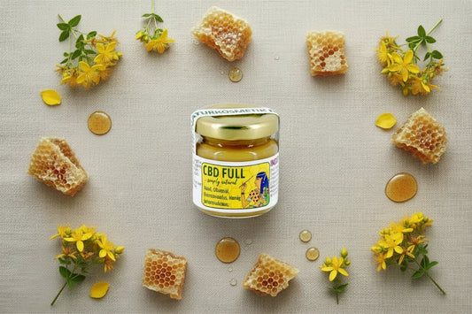 Sonnenfreund Balsam | Johanniskraut mit Hanf & Honig