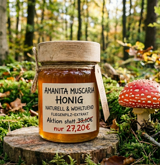 Shroom Effekt | Amanita muscaria | Fliegenpilz